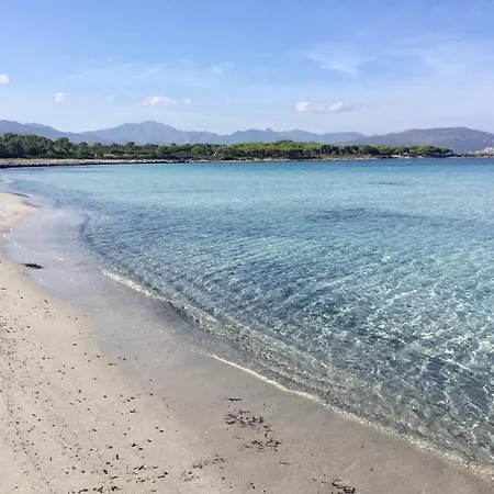 Appartement Apartment-edera-near-the-sea-with-parking-and-barbecue Budoni