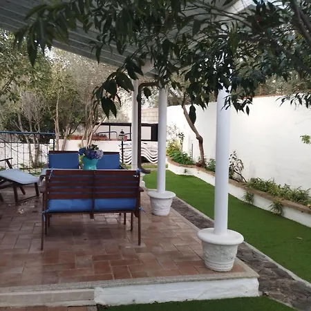 Apartment-edera-near-the-sea-with-parking-and-barbecue Appartement