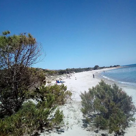 Appartement Apartment-edera-near-the-sea-with-parking-and-barbecue *