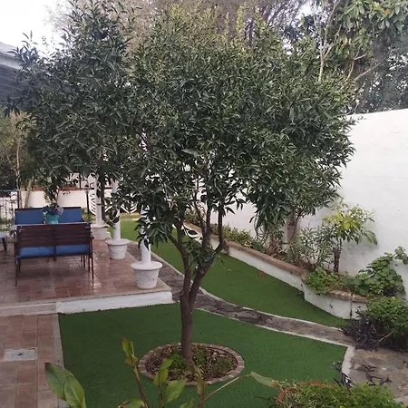Apartment-edera-near-the-sea-with-parking-and-barbecue
